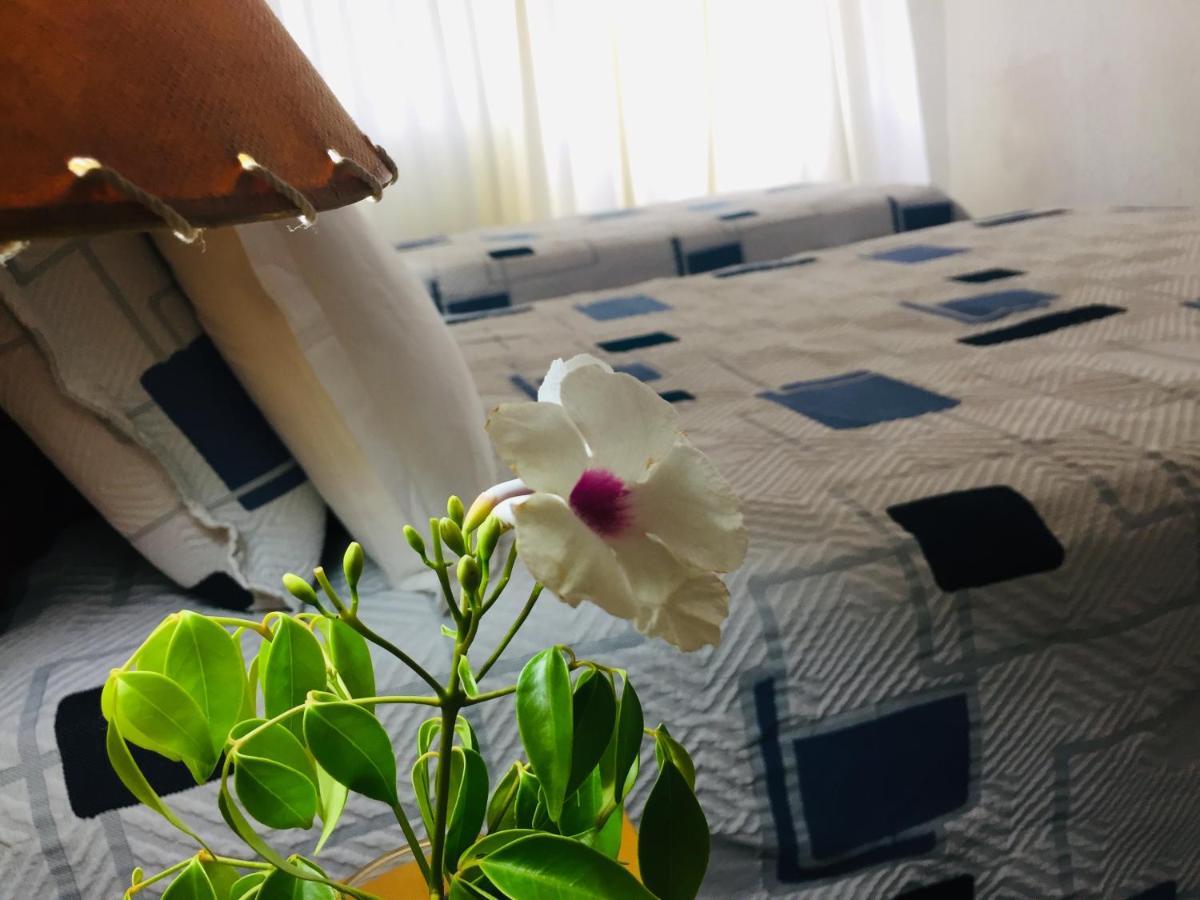 San Remo Terrazas Hotel Piriápolis Exteriör bild